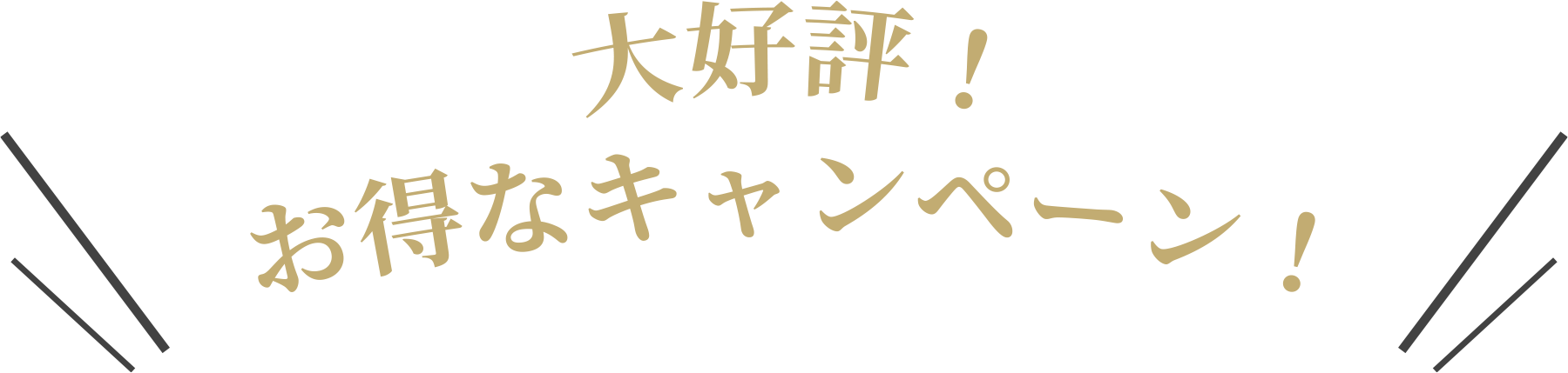 大好評！お得なキャンペーン！